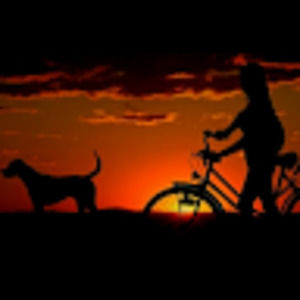 Meet your Posher, Heidi